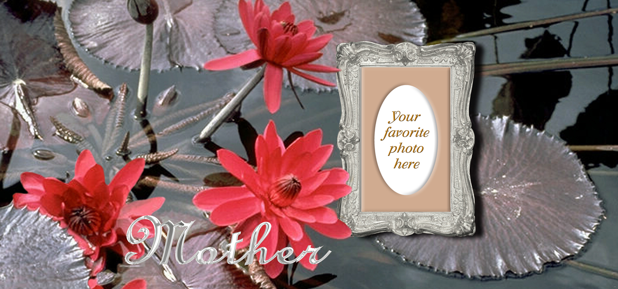 Water Lily Red Mother